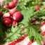 baby Red Russian kale and Cherry Bell radishes